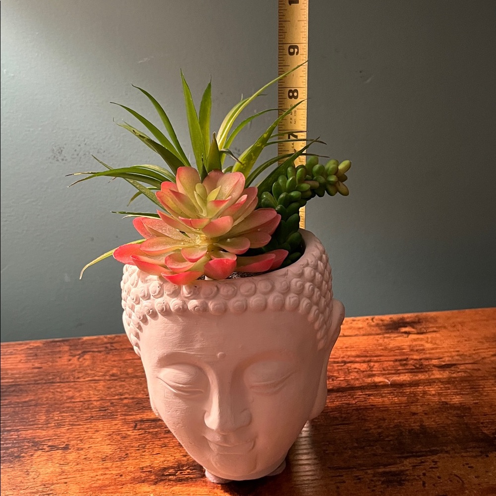 Succulent Buddha planter - Picture 5 of 5